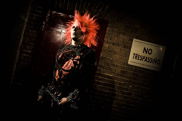 punk rocker - celebrity men spiky hair singer imagens e fotografias de stock