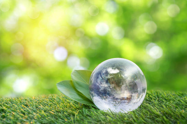 istock Environment conservation concept. Close up of glass globe in the forest with copy space 1178688053