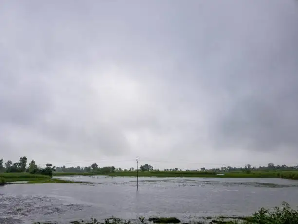 The flooded landscape of the Indian countryside during the monsoon season.