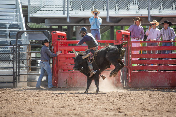 istock Cowboy Bull Riding in Rodeo Arena 1178688593