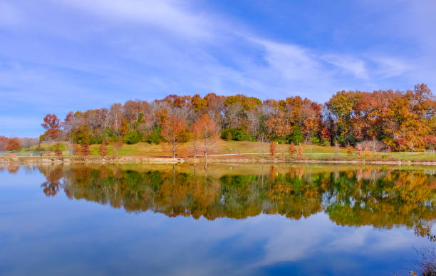 istock Woods by the lake in late fall 1178688605