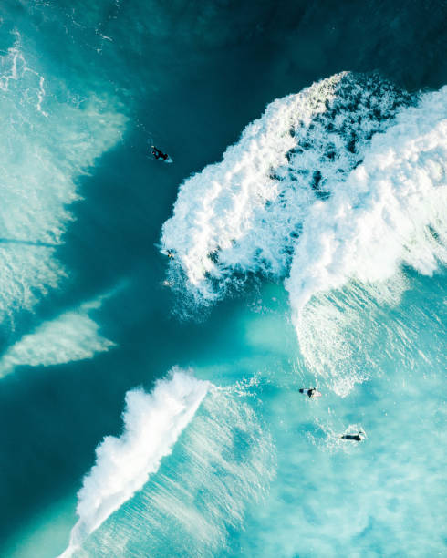 surfers genieten van enorme golven bij zonsopgang in de oceaan. mooie omstandigheden en plek voor een ochtend surf competitie om fit en gezond te blijven - tropical surf stockfoto's en -beelden