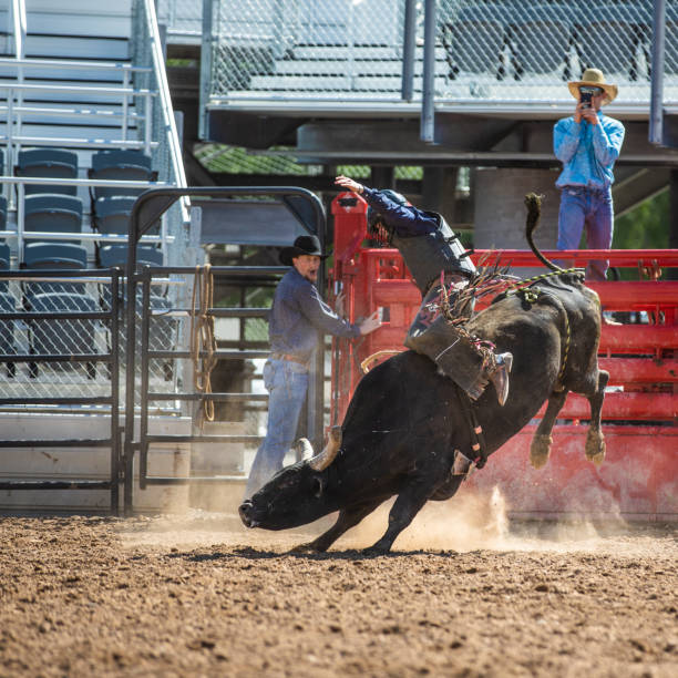 istock Cowboy Bull Riding in Rodeo Arena 1178692083