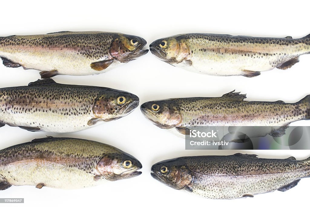 Parlando di pesce - Foto stock royalty-free di Alimentazione sana