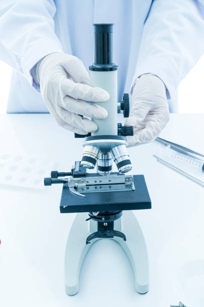 istock Experienced female scientist is working in laboratory. 1178697036