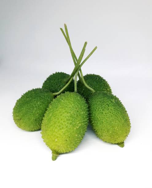 istock Momordica dioica 1178697314
