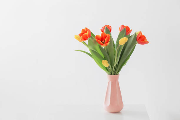 istock tulips in vase on white background 1178697984