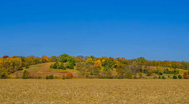 istock Harvested field with hills in the back and blue sky 1178698304
