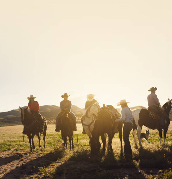 istock Cowboys Horseback Riding 1178701144