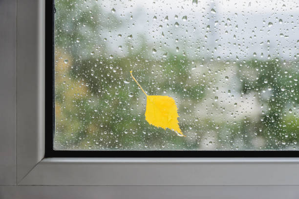 yellow birch leaf on wet glass of window with autumn blurred reflection trees, horizontal stock photo image