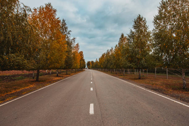 istock Countryside road in autumn 1178704587