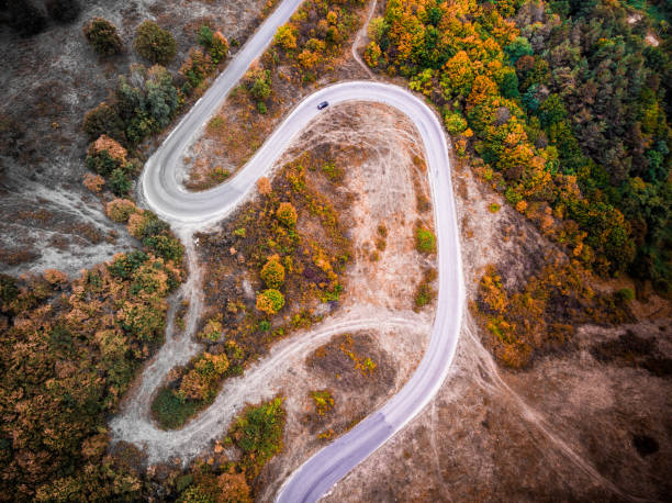 istock Aerial view of car driving on winding road through pine tree forest 1178706721