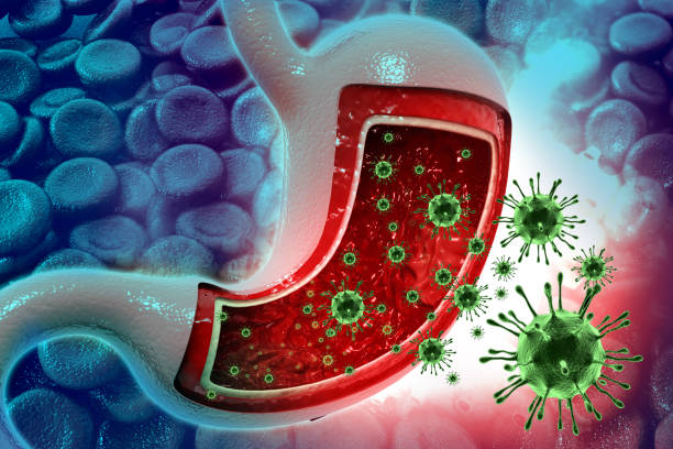 Virus infection on stomach Virus infection on stomach.medical background. 3d illustration gastroenteritis stock pictures, royalty-free photos & images