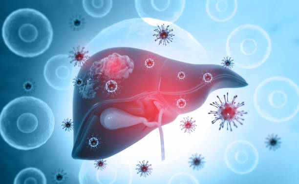 istock Viral infection on human  liver 1178707439