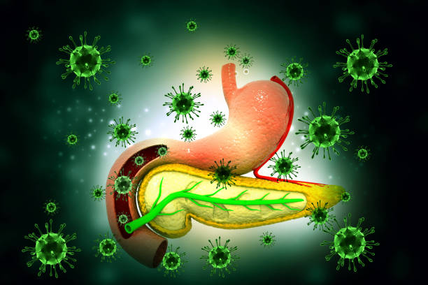 istock Virus infection of pancreas 1178707481