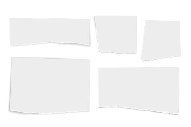Set of white vector paper tears isolated on white background Set of white vector paper tears isolated on white background torn paper stock illustrations