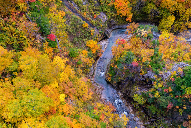 istock Aerial view of Autumn Fall River Landscape 1178712210