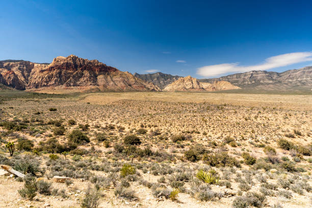 istock Red Rock Canyon Las Vegas Nevada USA 1178713006