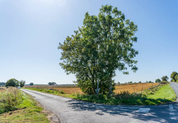 Empty country roads English countryside