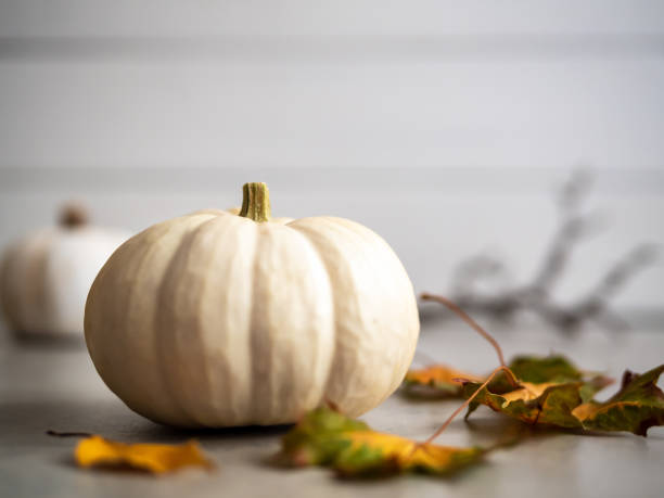 istock White pumpkin with autumn leaves on a gray background 1178715655