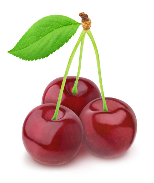 istock Whole and halved cherries isolated on a white. 1178716515