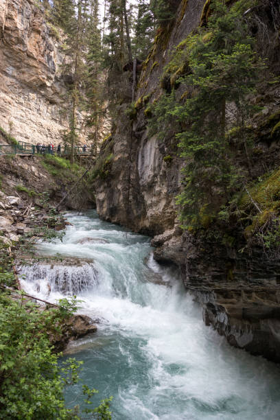 istock Banff National Park Alberta Canada 1178717389
