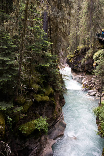 istock Banff National Park Alberta Canada 1178717504