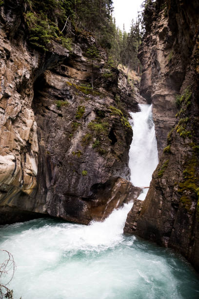 istock Banff National Park Alberta Canada 1178718039