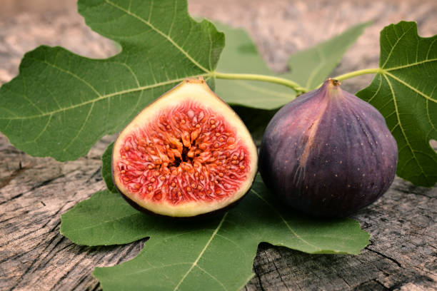 istock Fresh figs, fruits. 1178718060