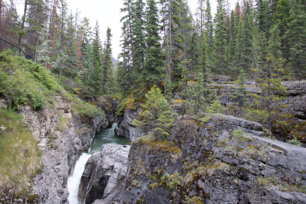 istock Erosion in Malingne Canyon Jasper National Park Canada 1178718408