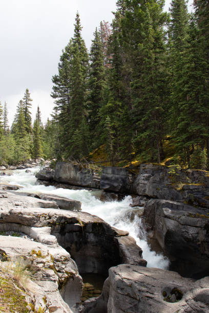 istock Erosion in Malingne Canyon Jasper National Park Canada 1178718427