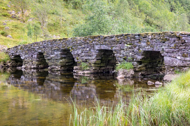 istock In a small valley an old stone bridge leads across a river. Seen in Norway 1178720291