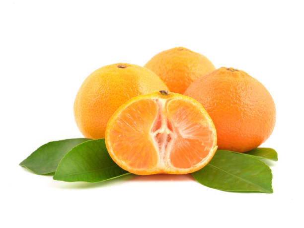 istock Orange mandarins with leaf on white background. 1178722136