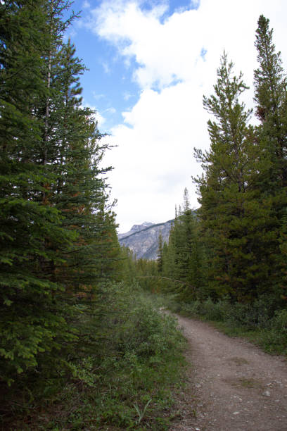 istock Banff National Park Alberta Canada 1178722404