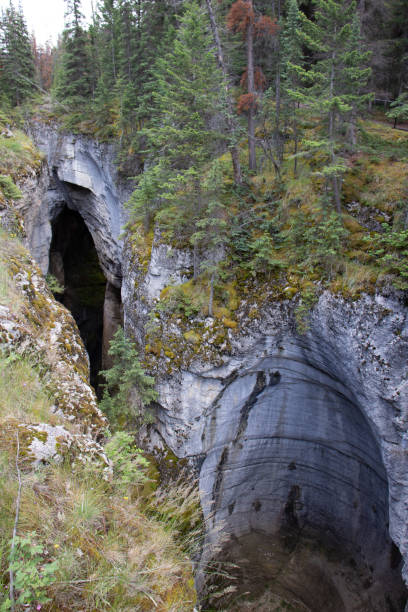 istock Erosion in Malingne Canyon Jasper National Park Canada 1178722446