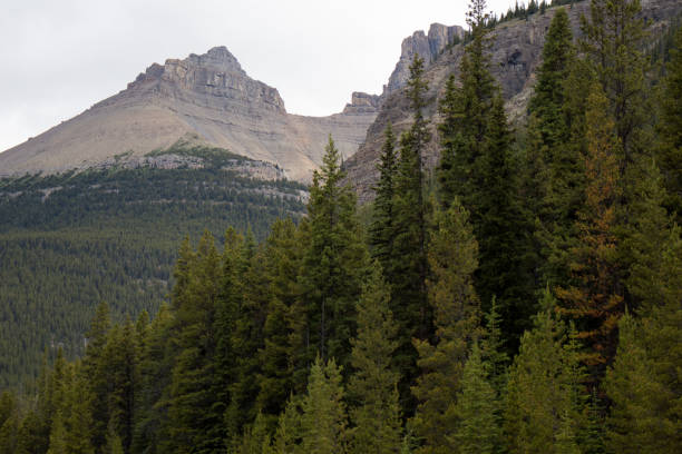 istock Banff National Park Alberta Canada 1178722458