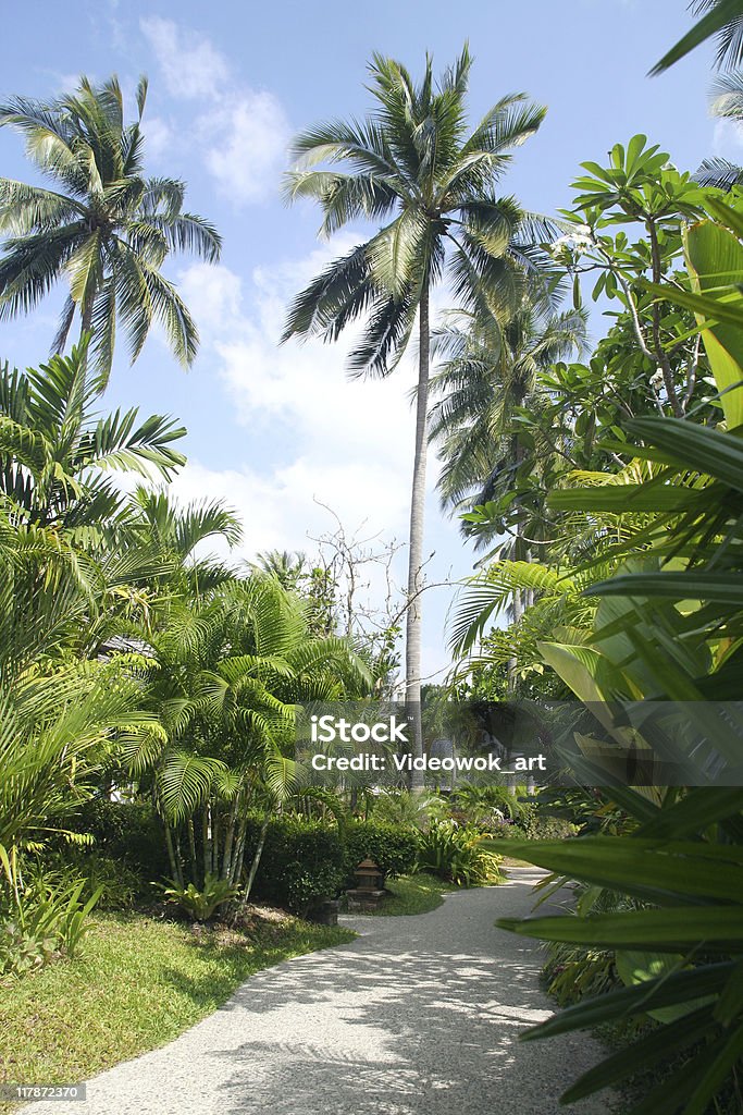 Тропический сад - Стоковые фото Без людей роялти-фри
