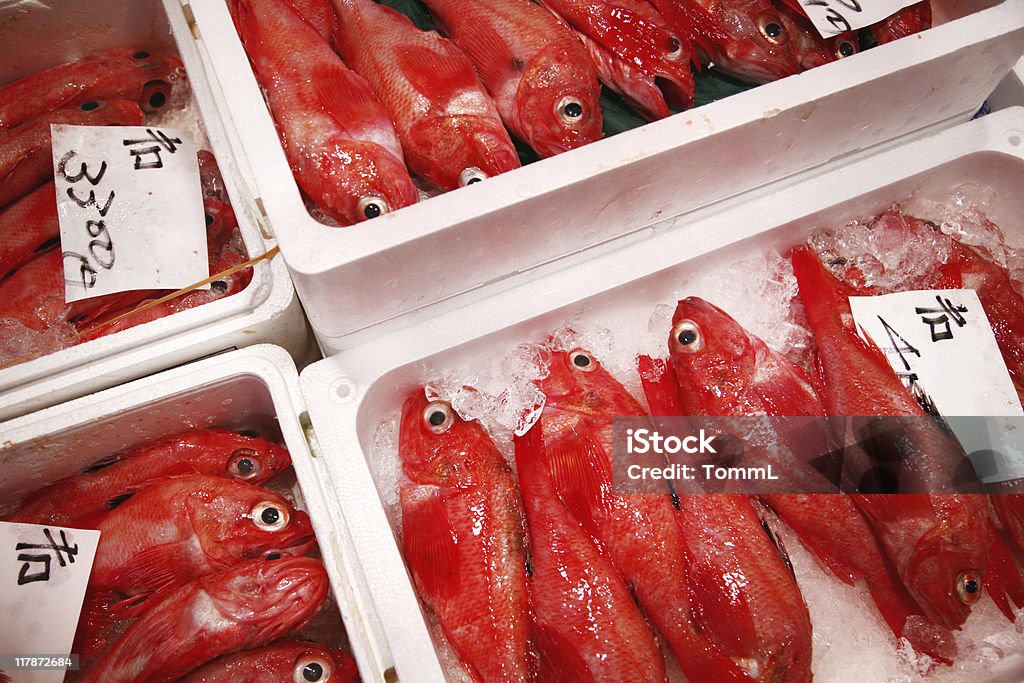 Pescado fresco - Foto de stock de Alimento libre de derechos