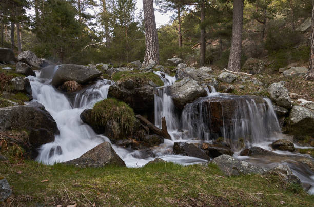 Sierra de Guadarrama. Community of Madrid. Spain