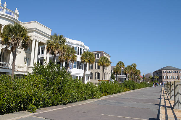 istock Historic Charleston, South Carolina 117873276