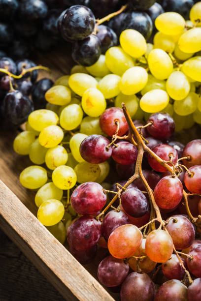 istock Ripe different sorts of grape on the rustic background 1178734835