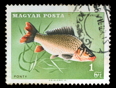 Stamp showing a rainbow buttefly fish