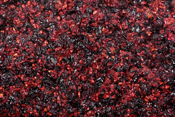 Pressed grape pomace, seeds and skins. Winemaking background.