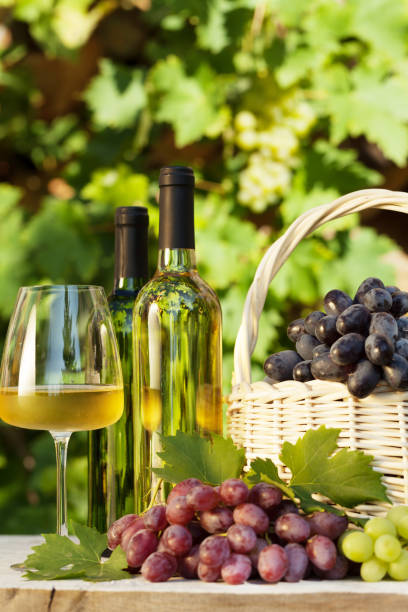 istock Colorful grapes and white wine 1178740944