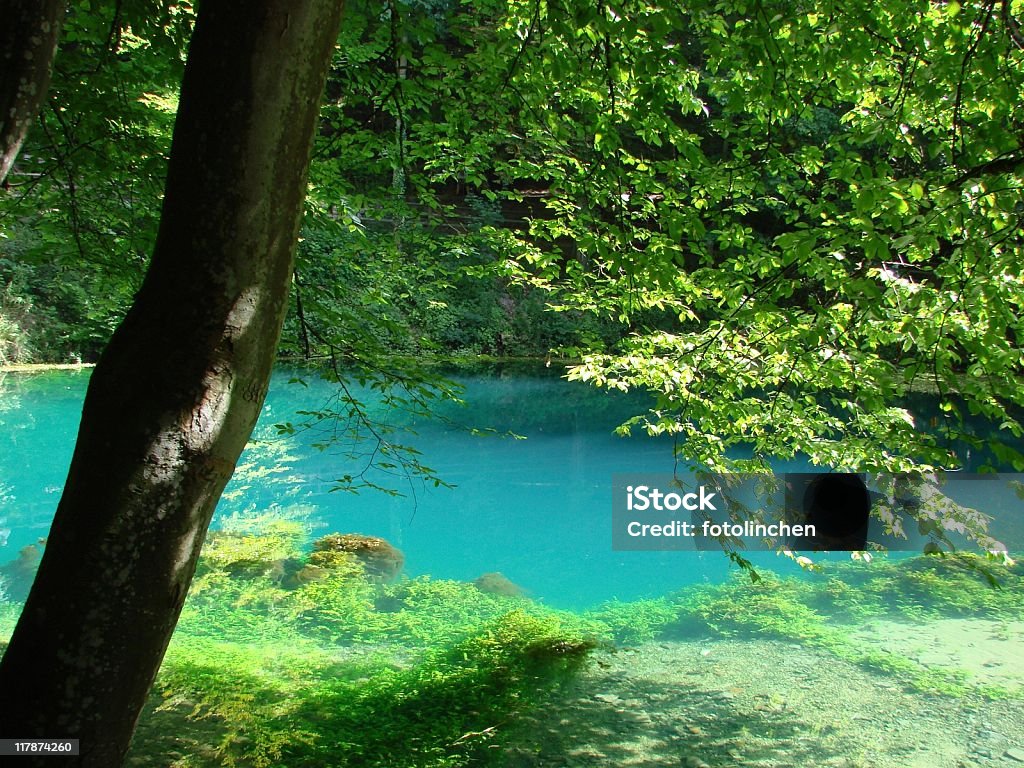 Blautopf in Blaubeuren - Lizenzfrei Blautopf Stock-Foto