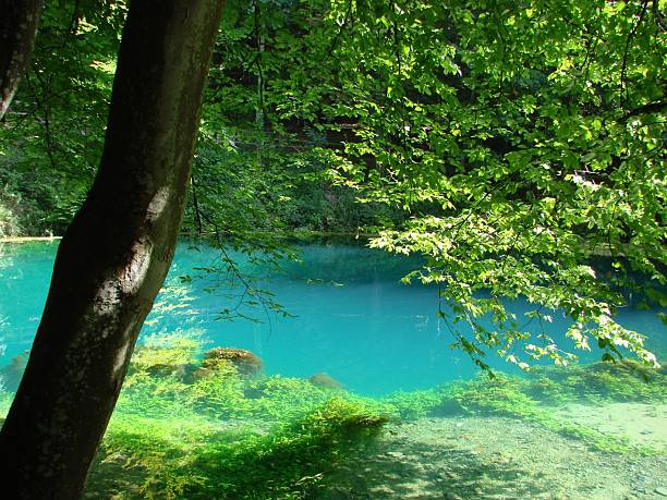 istock Blautopf in Blaubeuren 117874260