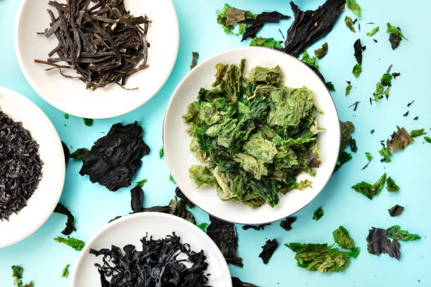 istock Dry seaweed, sea vegetables, top shot on a light blue background 1178747020