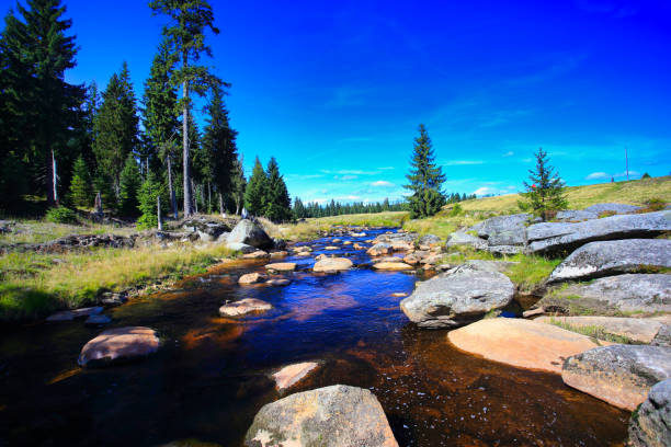 istock picturesque jizera or izera river, mountain stream valley 1178750612