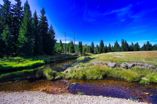 istock picturesque jizera or izera river, mountain stream valley 1178750637