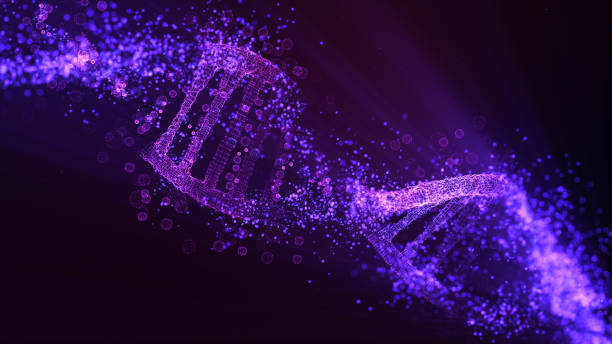 DNA molecule model. Glowing particles Glowing DNA molecules. DNA helix model dna spiral stock pictures, royalty-free photos & images
